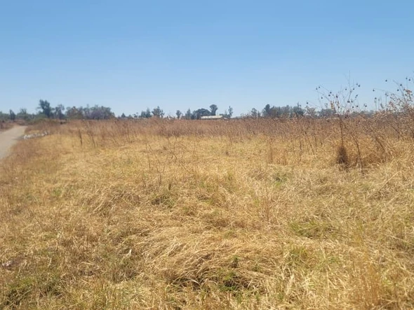 Stands & Residential Land