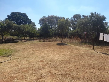 Stands & Residential Land