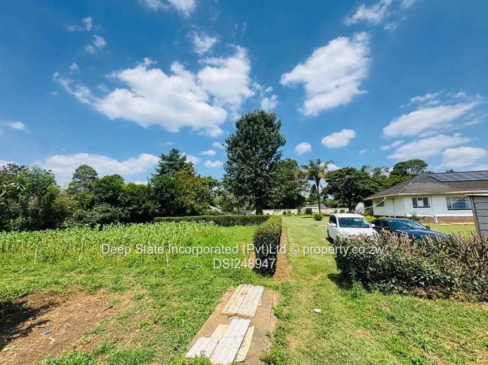 Borrowedale Brooke estate stand for sale 