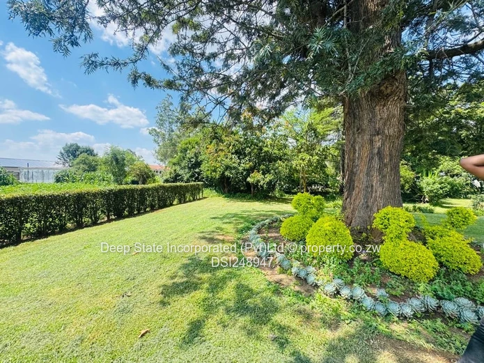 Borrowedale Brooke estate stand for sale 